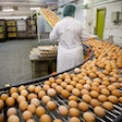 Egg On Production Line