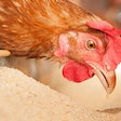 Coccidiosis control: Is your program sustainable?