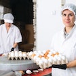 Latin America produced less broiler meat last year due to a contraction in production in Brazil, however, the region’s egg producers saw output rise.